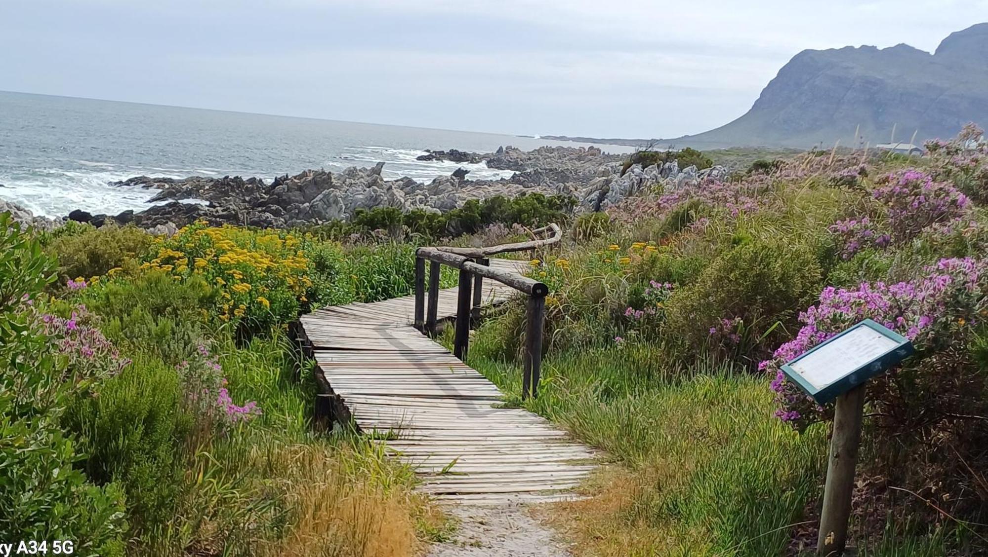 Kleinmond Panorama Holidays מראה חיצוני תמונה
